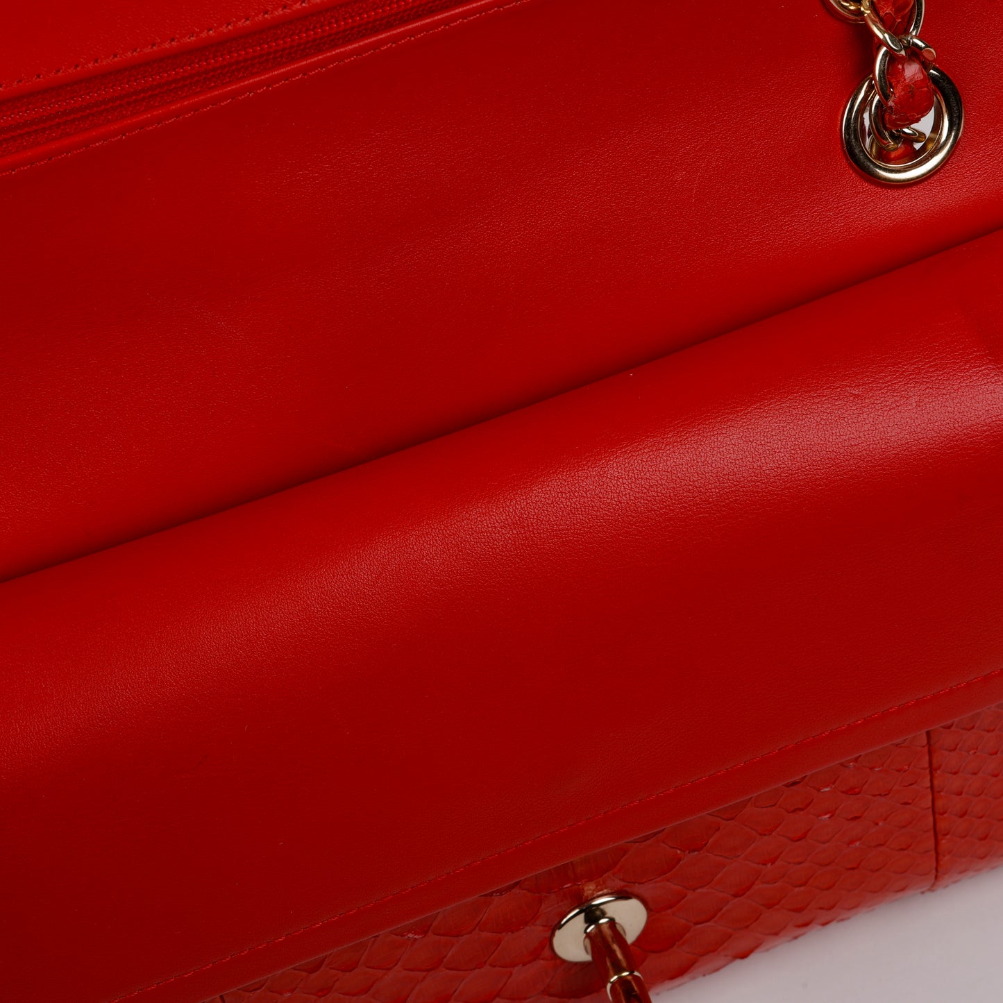 Medium Double Flap, Red Python Gold Hardware