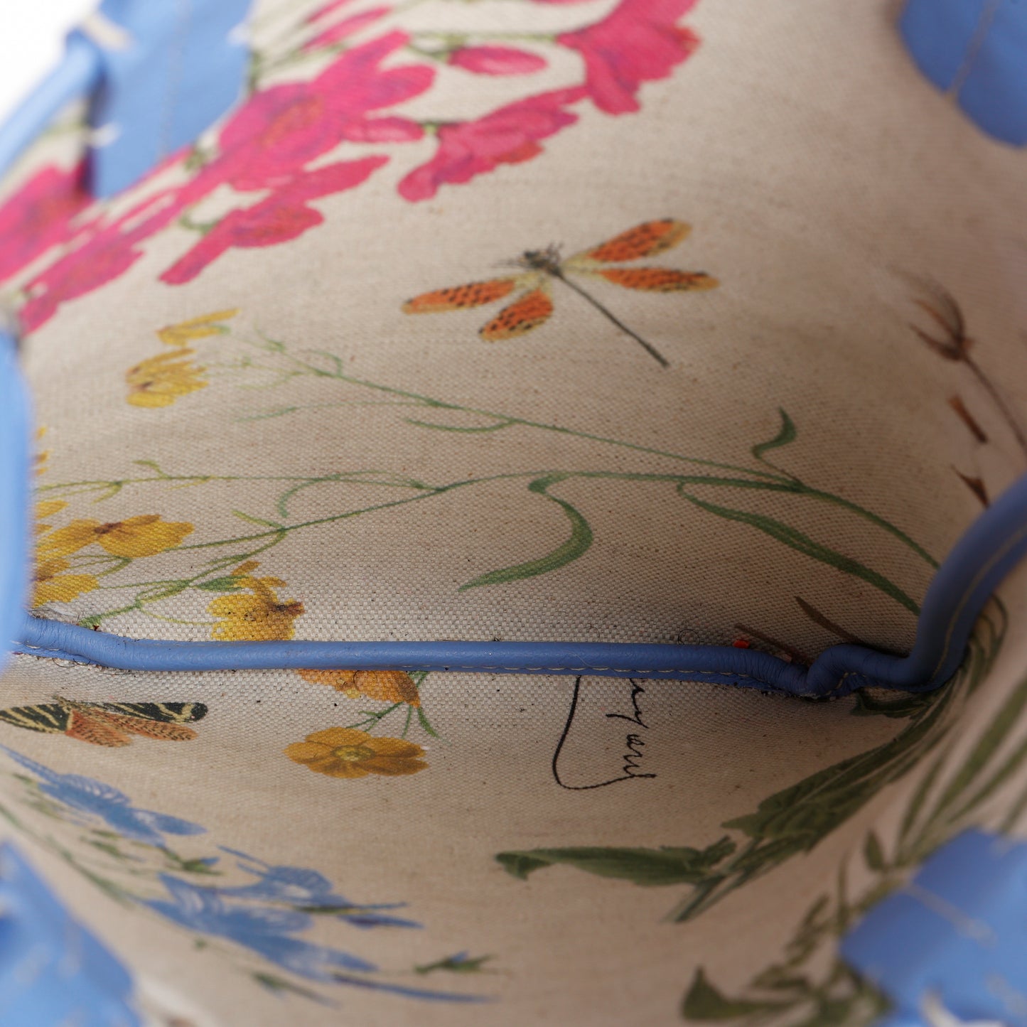 Poitiers, Iris Floral