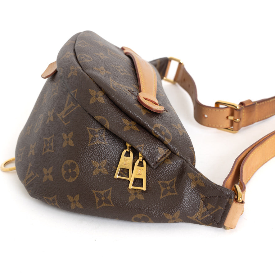 Bum Bag, Monogram 7673