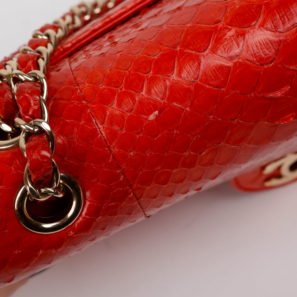 Medium Double Flap, Red Python Gold Hardware