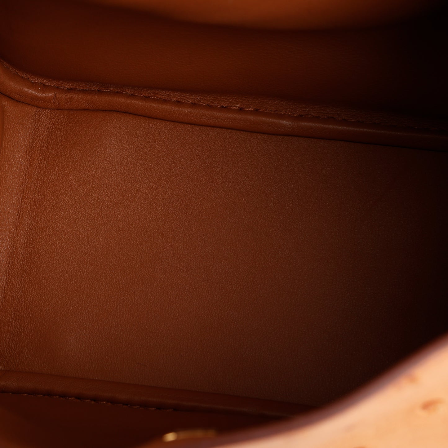 Mini Lindy, Gold Ostrich