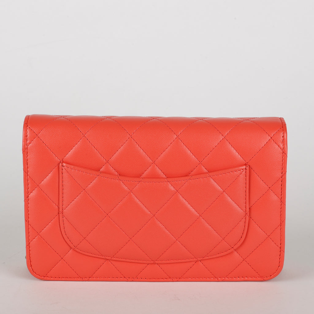CC Wallet on Chain, Coral Orange