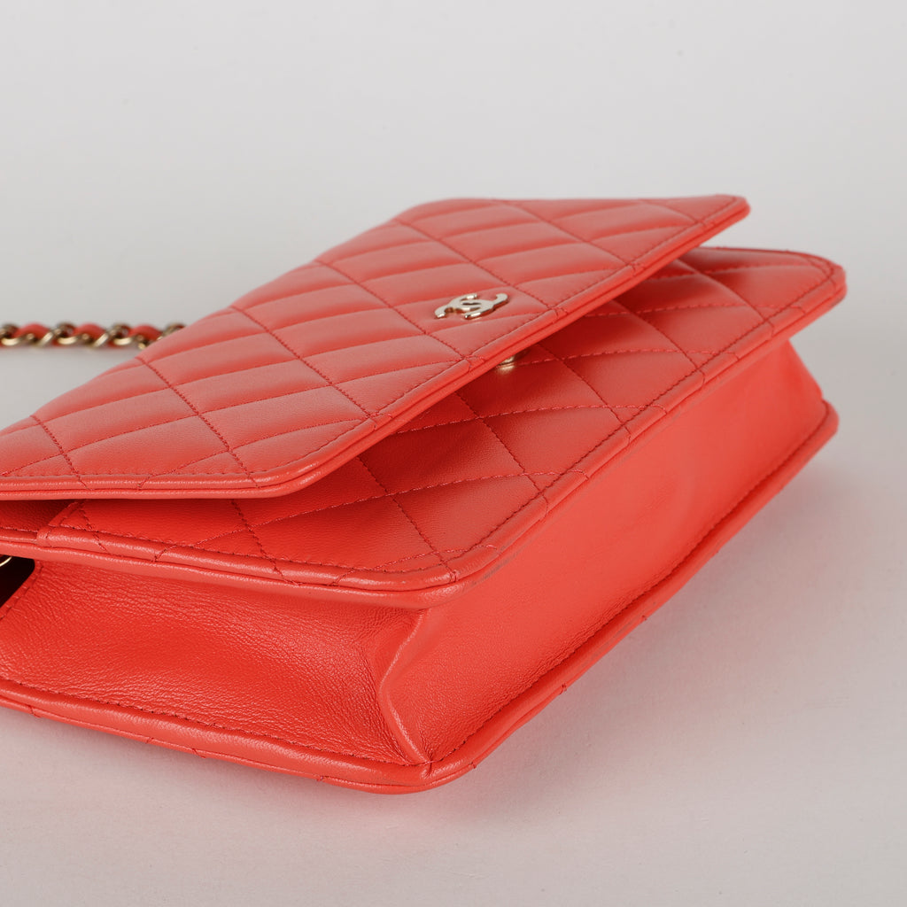 CC Wallet on Chain, Coral Orange