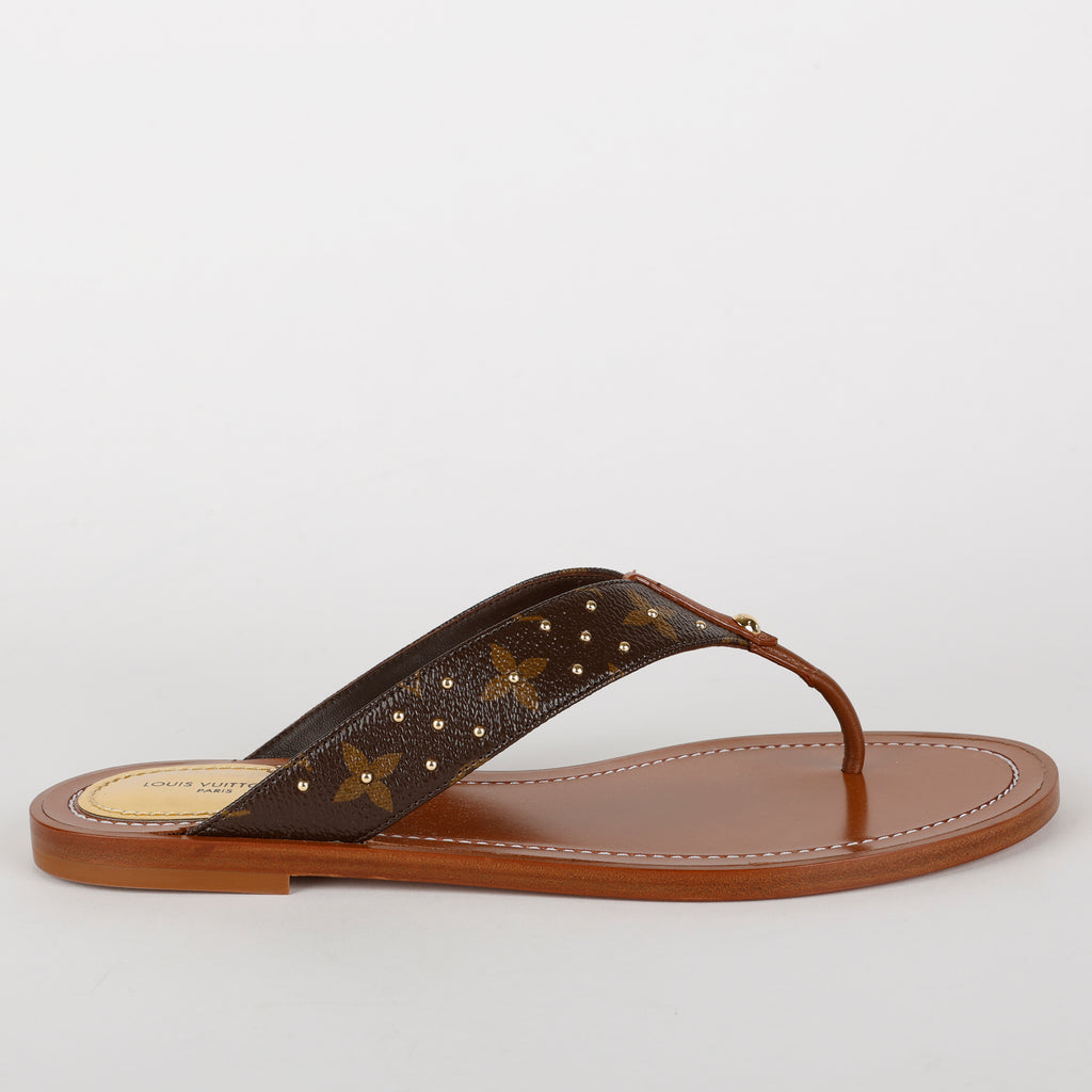 Sunny Flat Flip Flops, Brown/Monogram