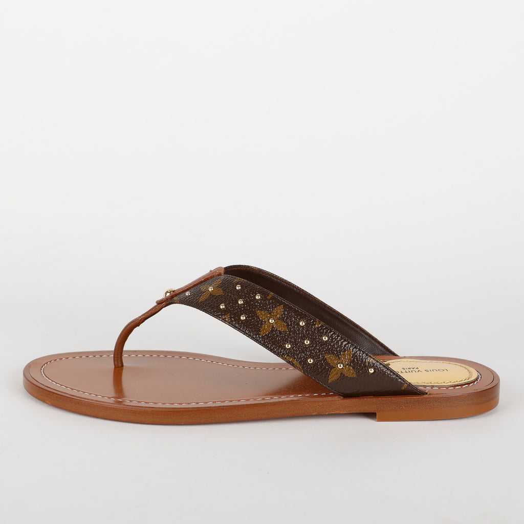 Sunny Flat Flip Flops, Brown/Monogram