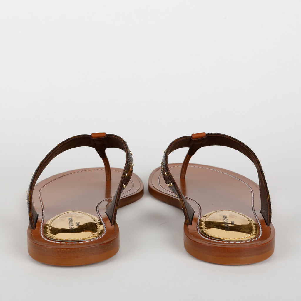 Sunny Flat Flip Flops, Brown/Monogram