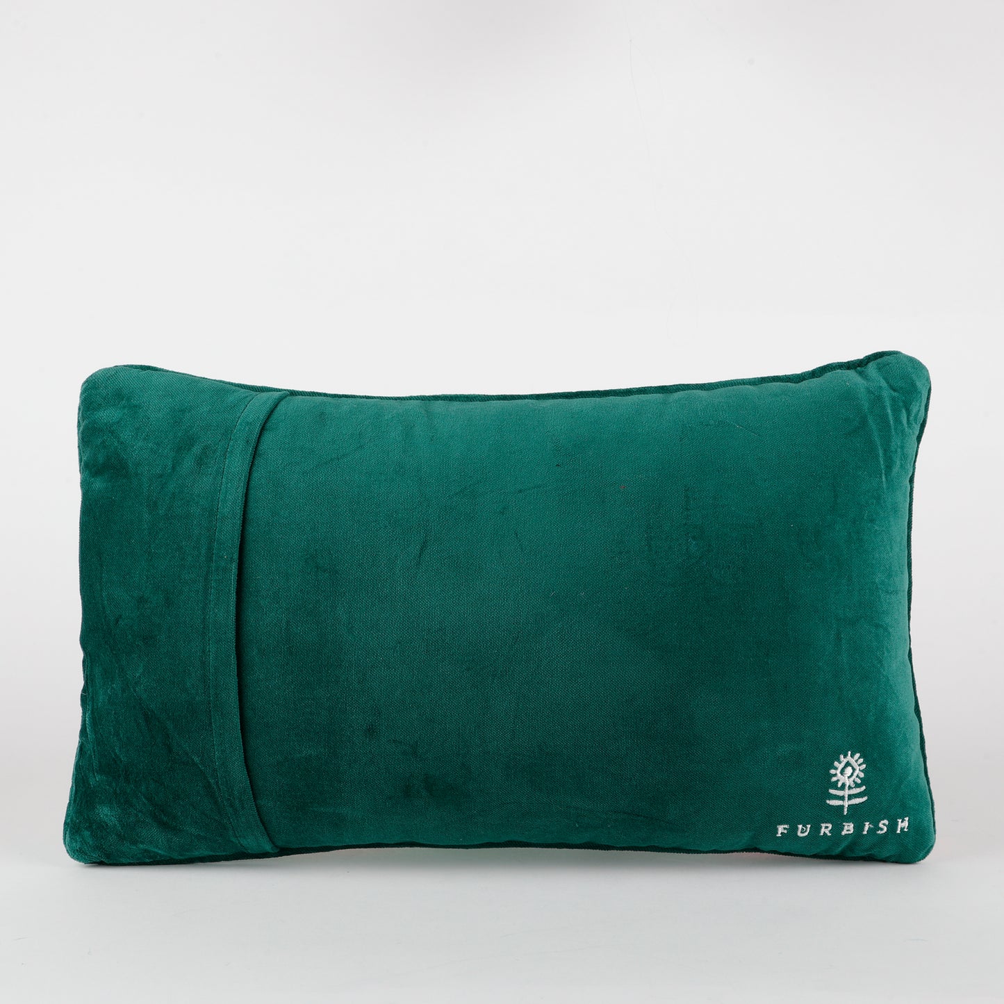 Expensive Needlepoint Pillow