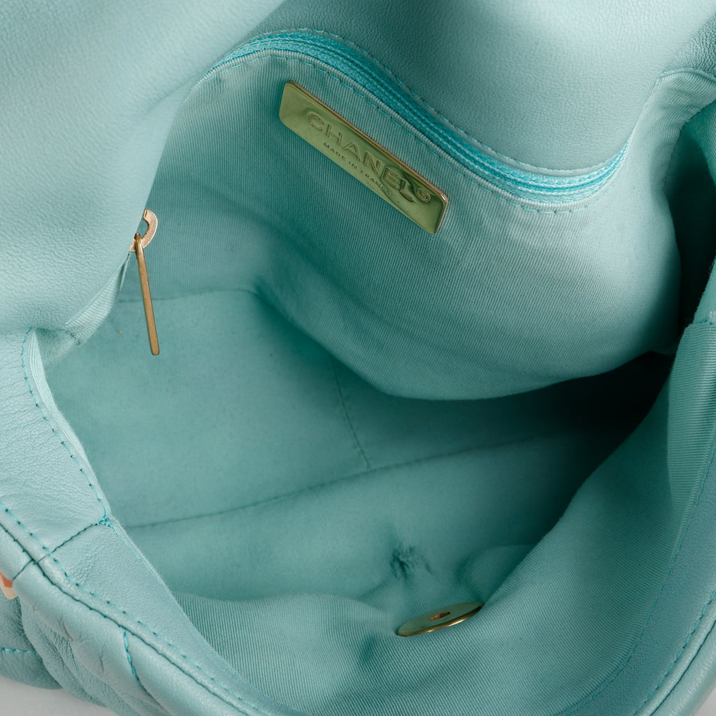 Small 19, Teal Goatskin