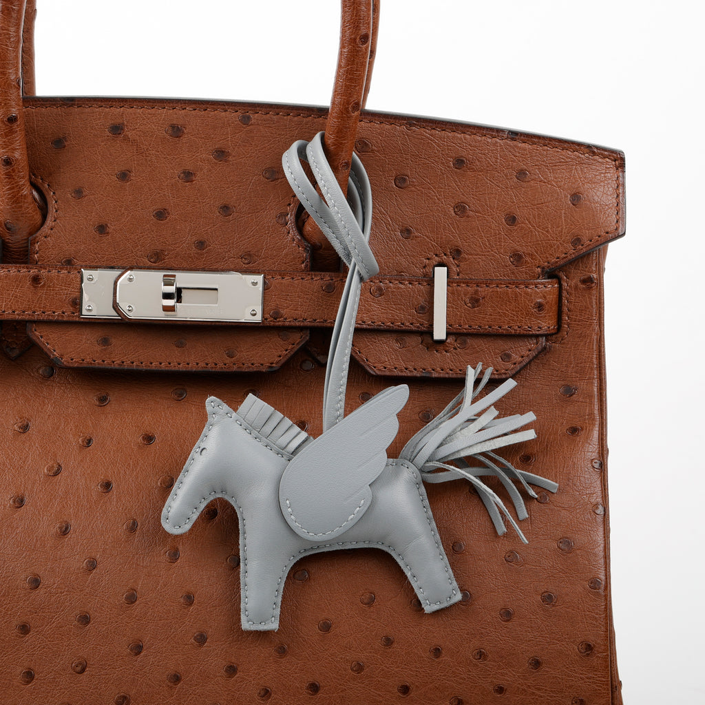 Rodeo Pegase PM, Gris