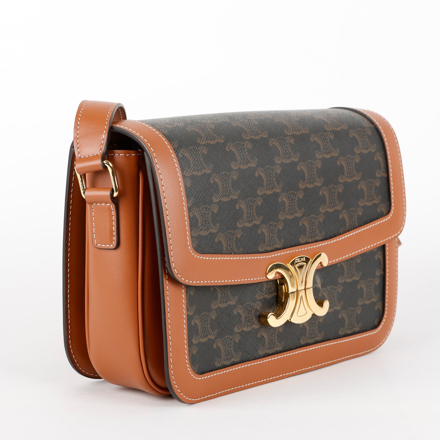 Medium Triomphe Shoulder Bag, Canvas
