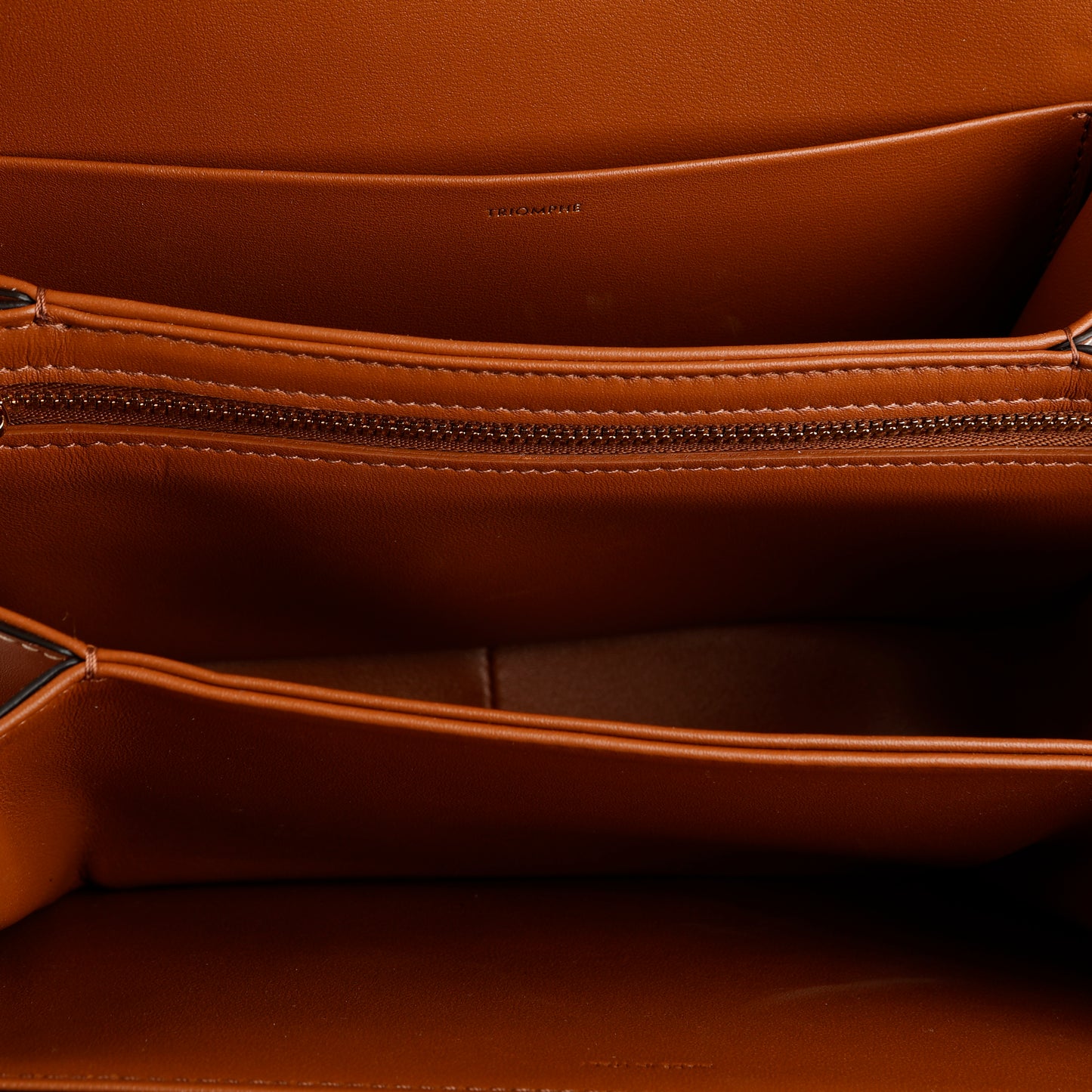 Medium Triomphe Shoulder Bag, Canvas
