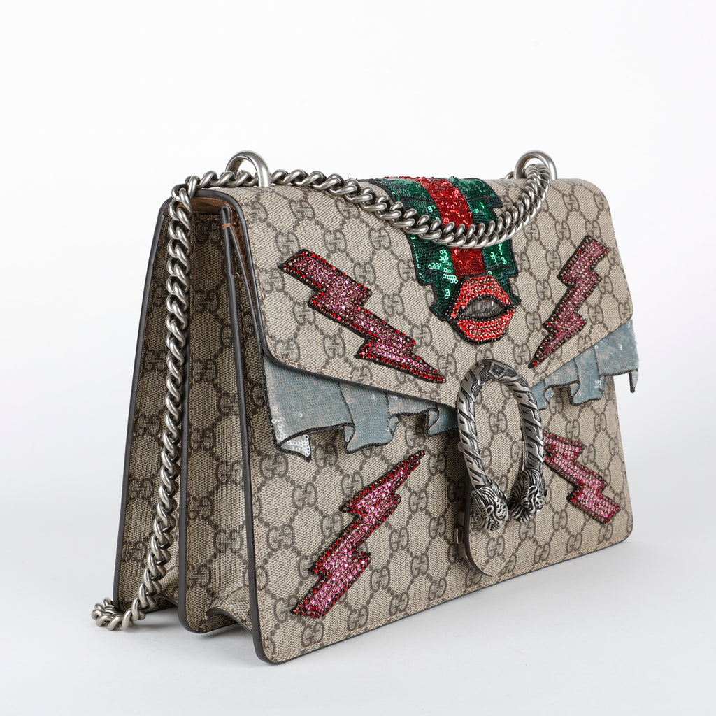 Medium Dionysus Shoulder Bag, Lightning Embroidered Coated Canvas
