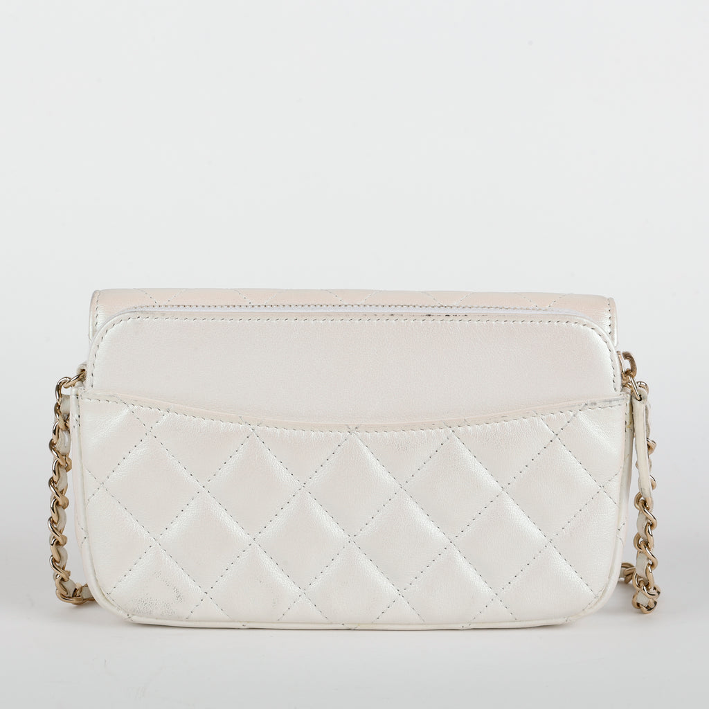 Multi Compartment Wallet on Chain, Silver Iridescent