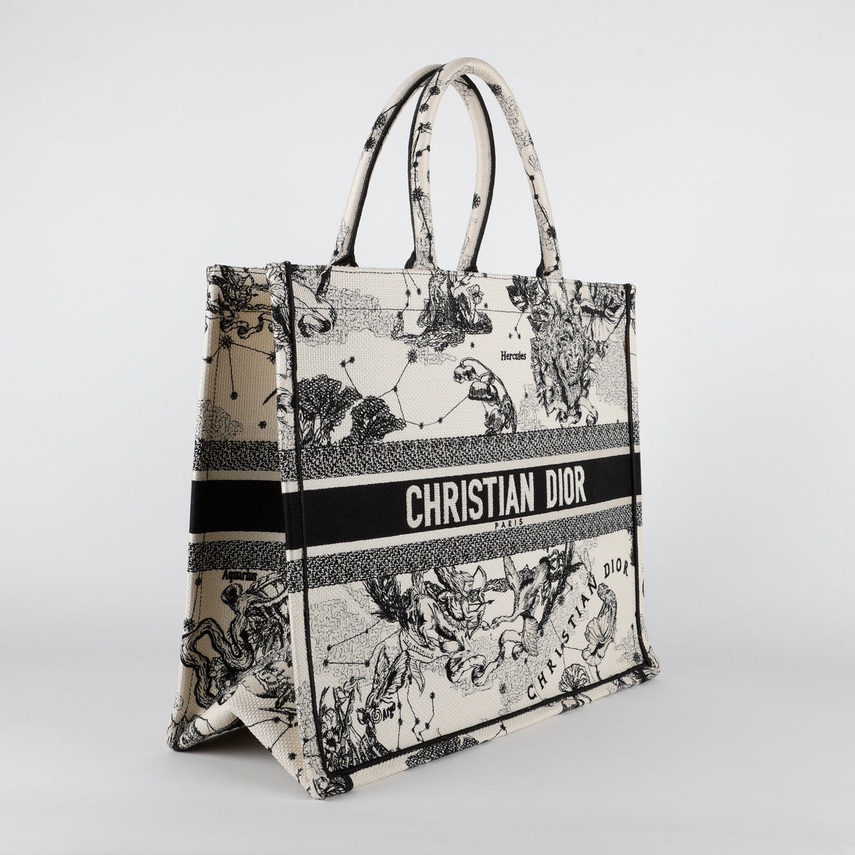 Large Book Tote, Zodiac Toile Canvas