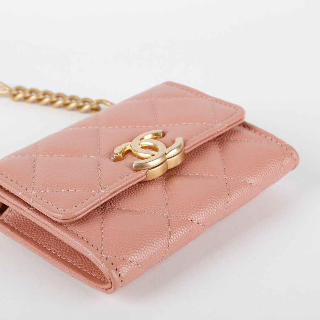Card Holder on Chain, Mauve Caviar