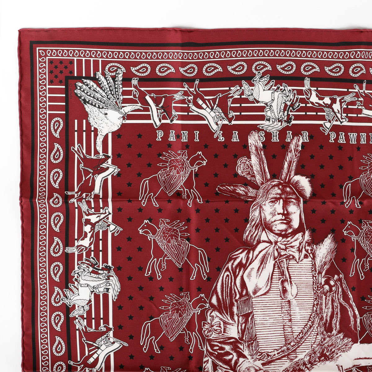 Hermès Pani La Shar Pawnee Scarf