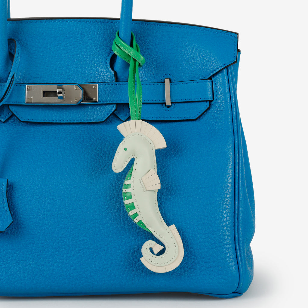 Milo Seahorse Charm