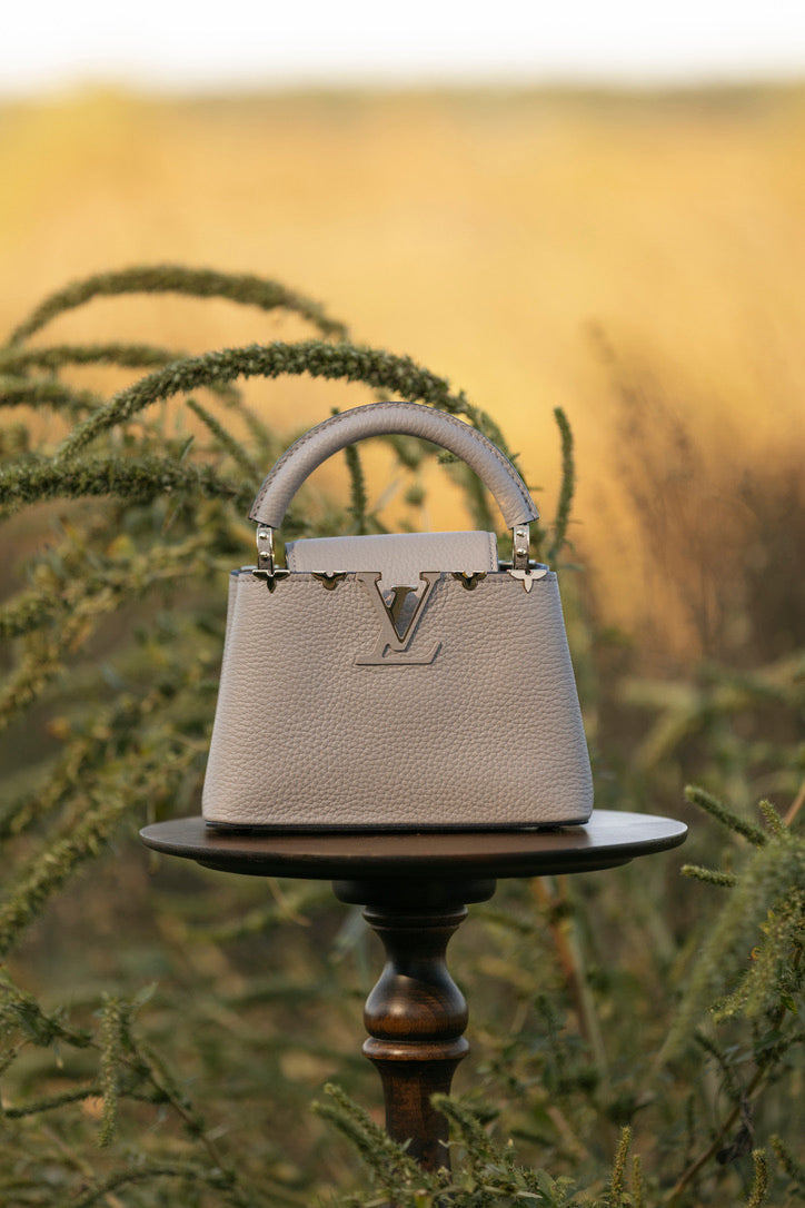 Mini Capucines, Galet