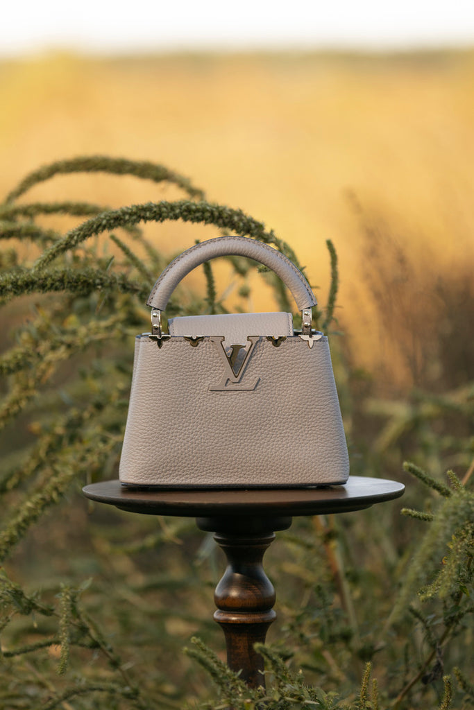 Mini Capucines, Galet