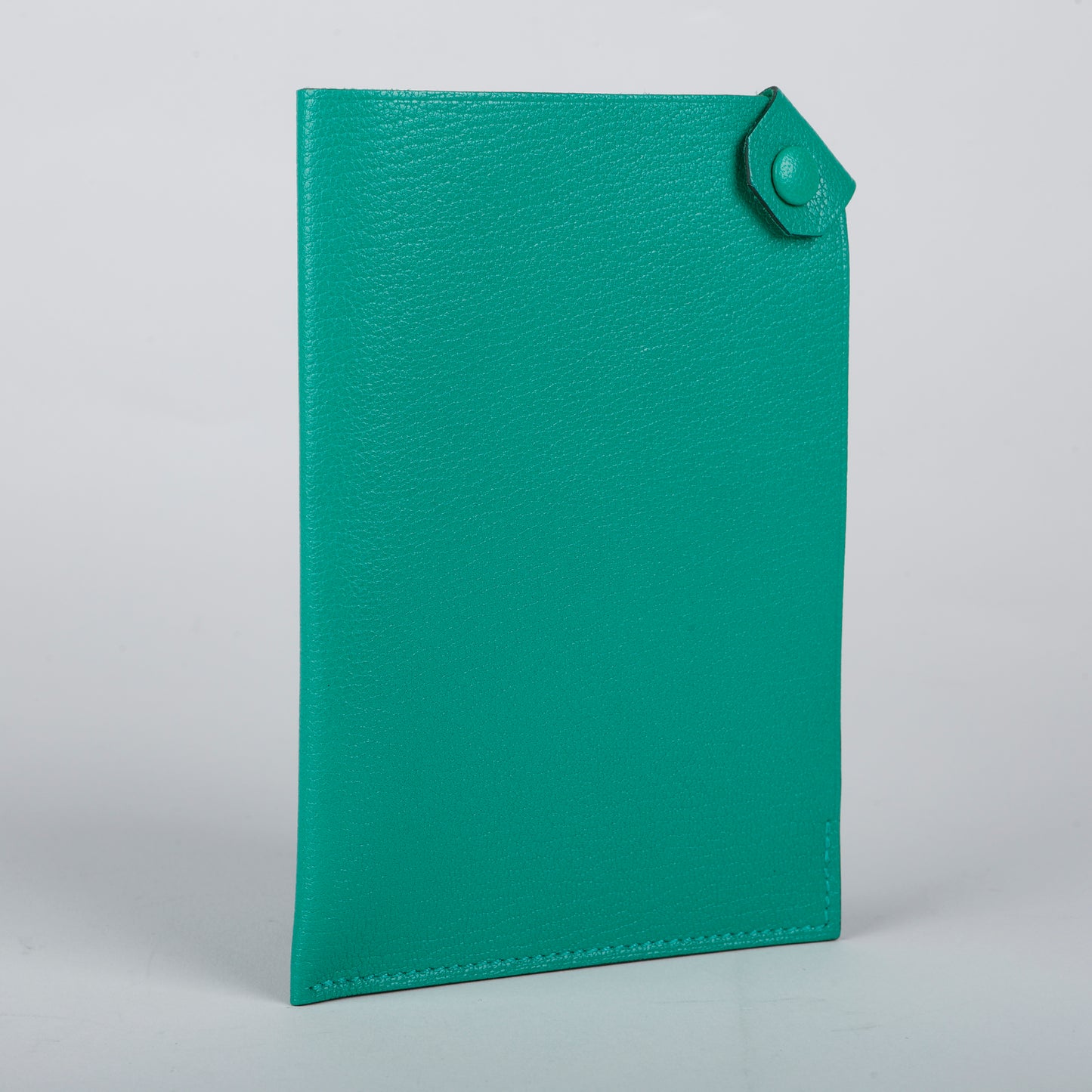 Tarmac Passport Holder Menthe Chamilka