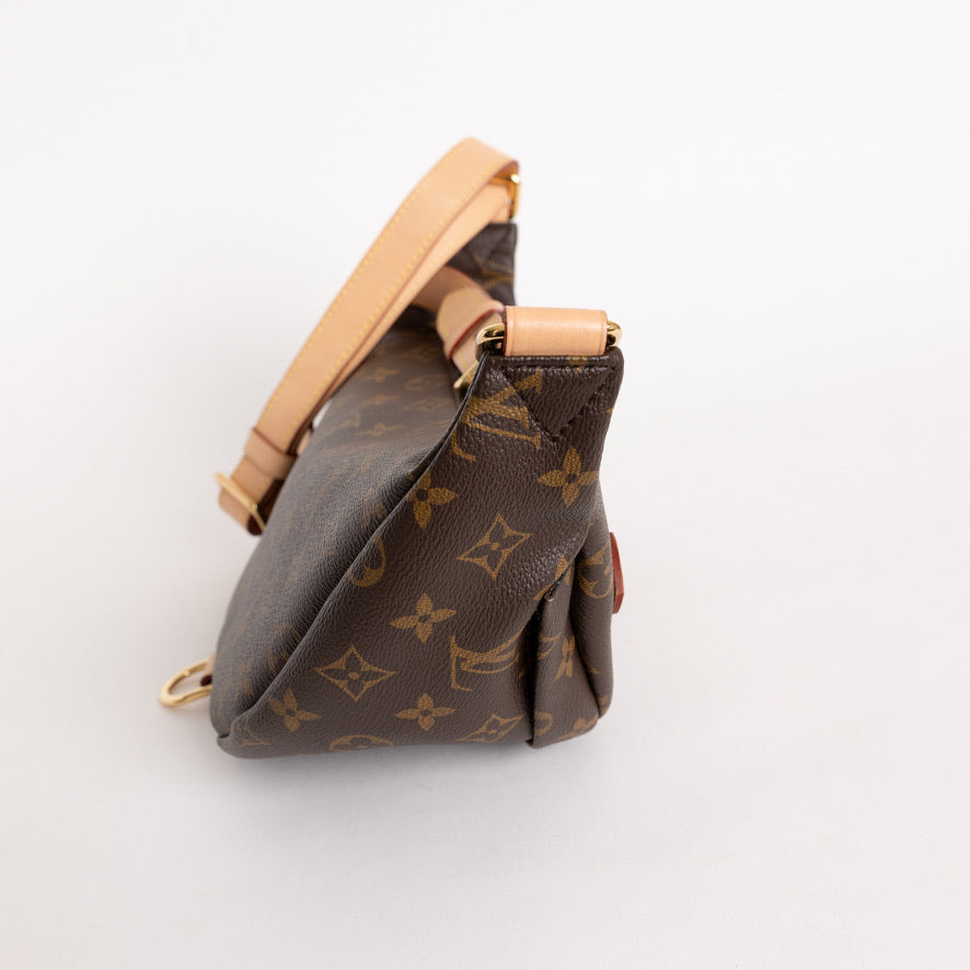 Louis Vuitton Bum Bag Monogram