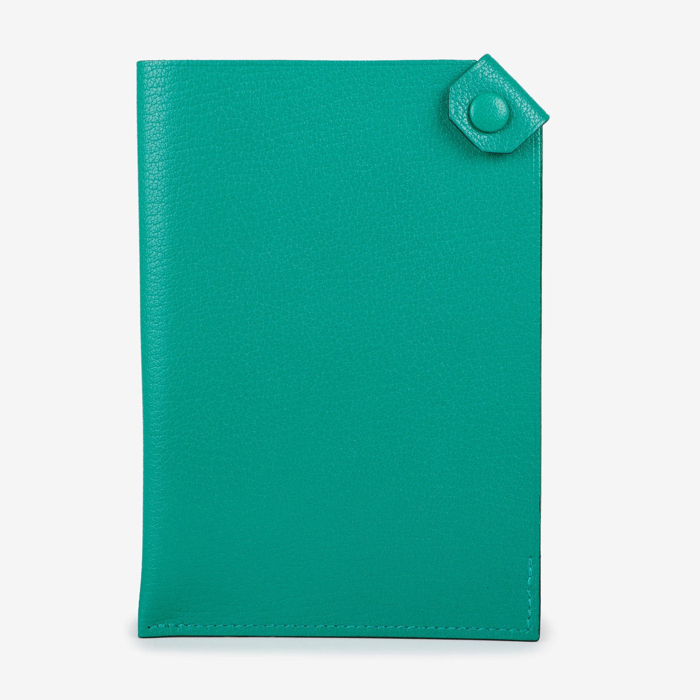 Tarmac Passport Holder Menthe Chamilka