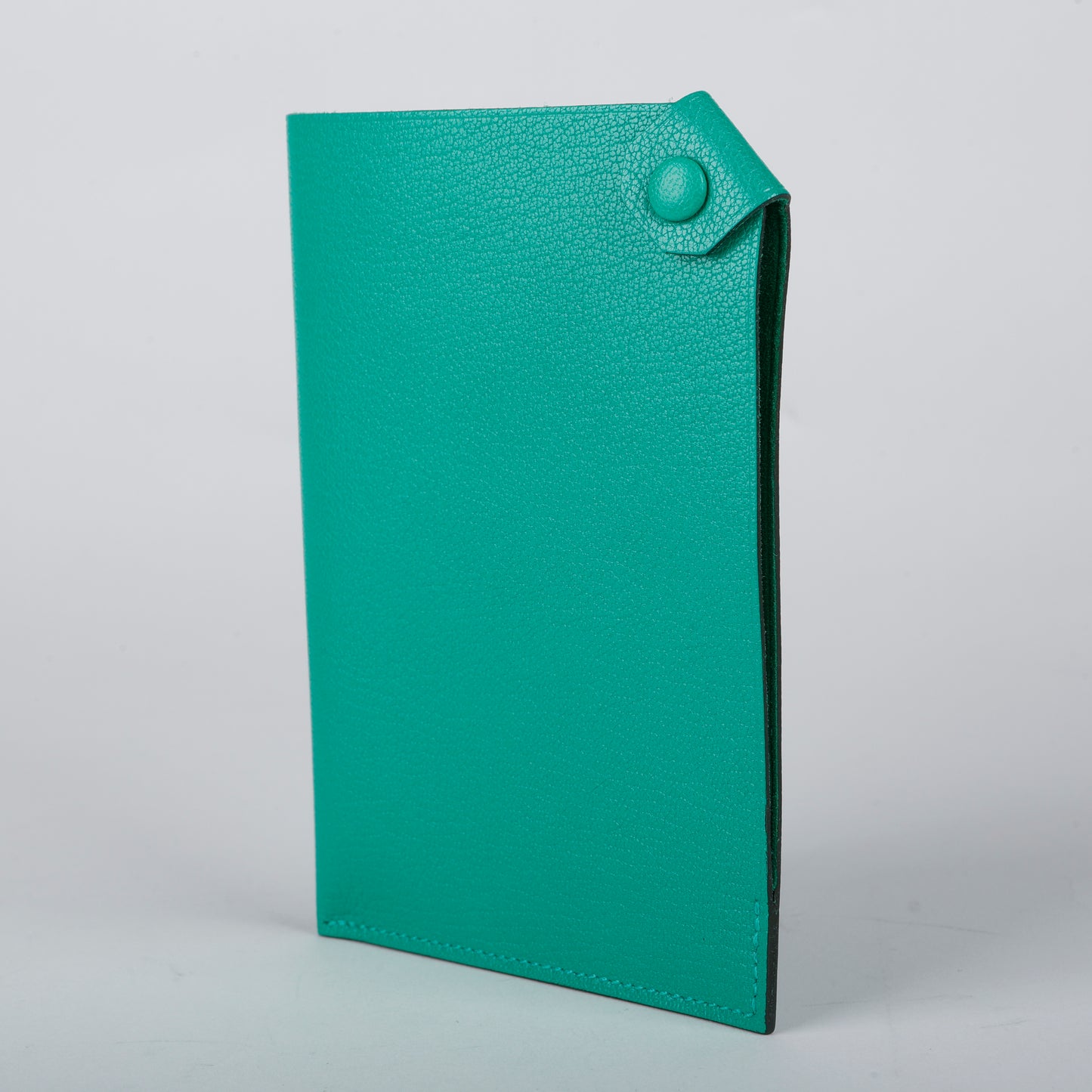 Tarmac Passport Holder Menthe Chamilka