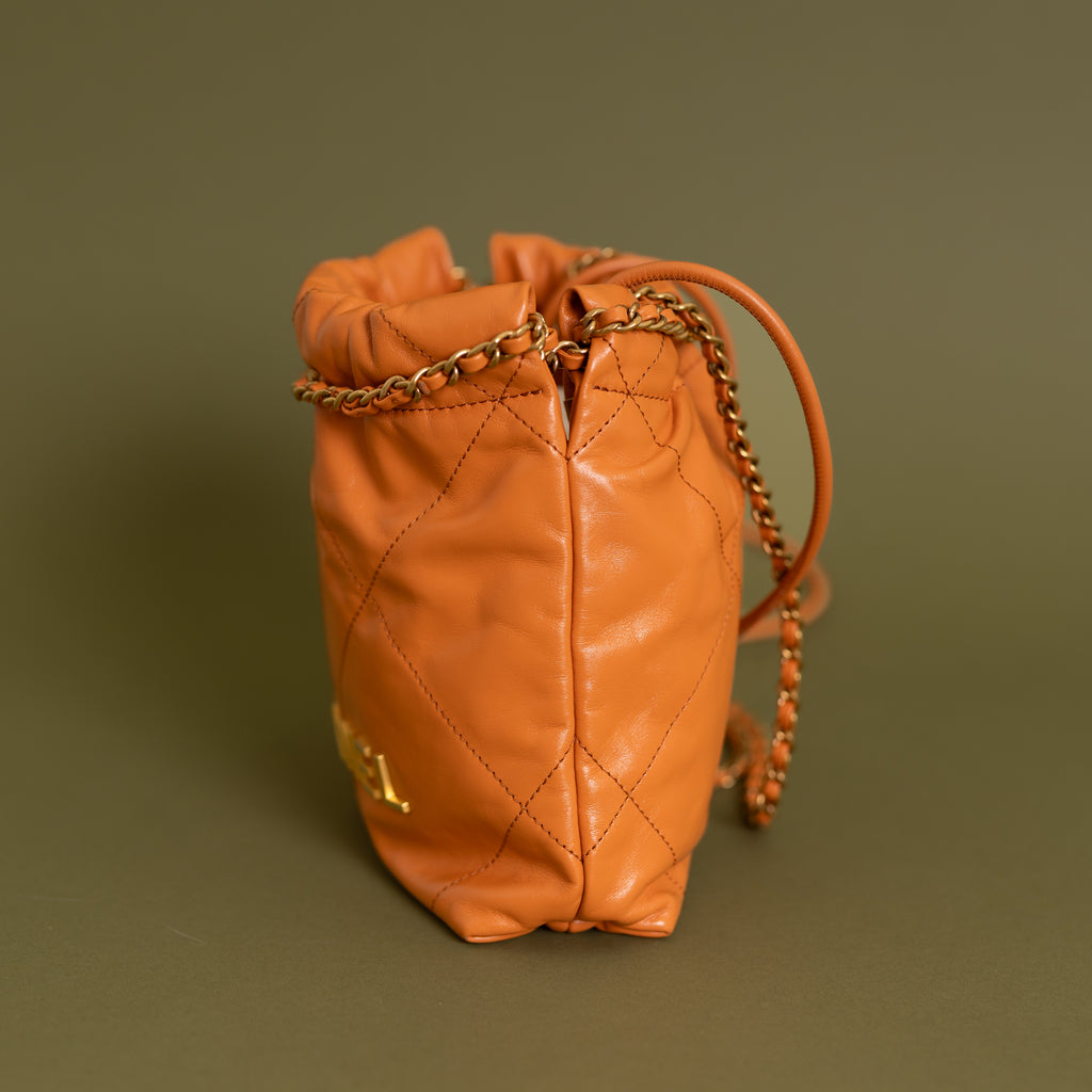 Mini 22 Orange Calfskin