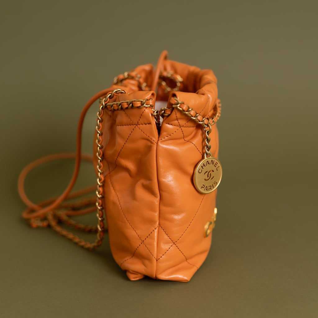 Mini 22 Orange Calfskin