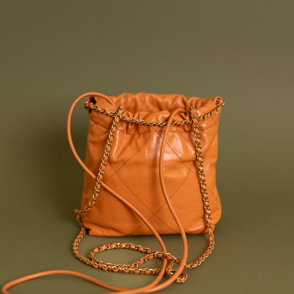 Mini 22 Orange Calfskin